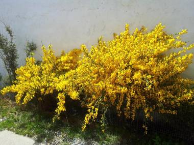 LA CASA DE LAS RETAMAS