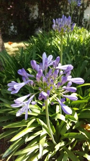 Habitación en casa con pileta en Río Ceballos