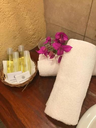 Hotel Raices Esturion