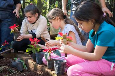Iguazú Grand Resort Spa & Casino