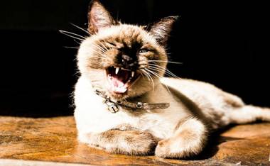 Mora International Hostel