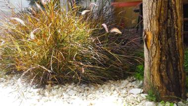 "Casa Amalia" Apartamentos Céntricos