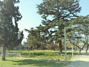 Apartamentos Mendoza