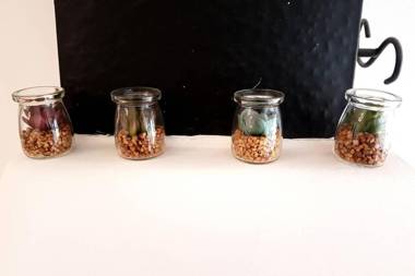 Big beautiful house with garden in 5ta Sección neighbourhood