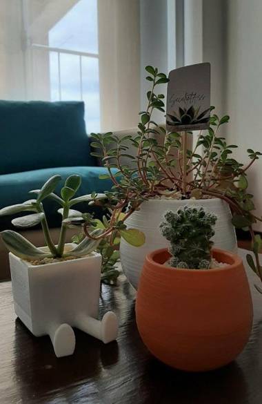 Apartamento centrico amueblado