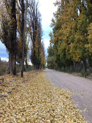 Posada Cavieres Wine Farm