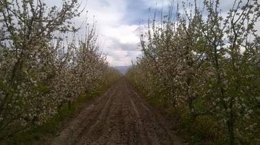 Finca La Superiora Casa de Campo