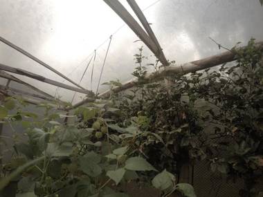 Yasí Yateré Reserva Agroecológica