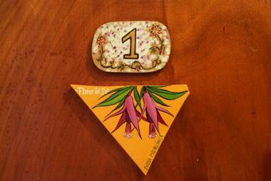 Hospedaje Flores del Sur