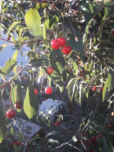 Aguilar House Hostel B&B