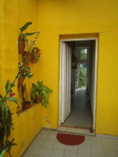 RAIZ DEL CIELO entre 2 jardines de ensueño