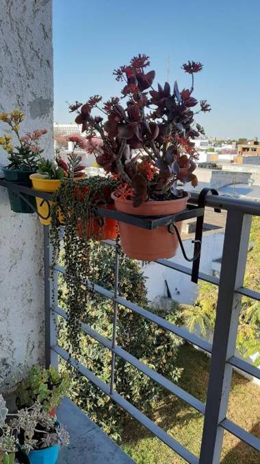 Departamento Fragueiro 2414 terraza exclusiva