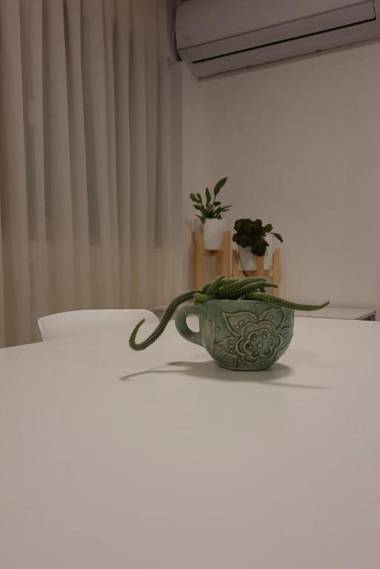 Departamento Centro Artístico Manzana Jesuítica