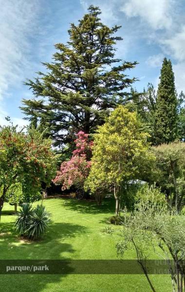 Quinta Ugarte