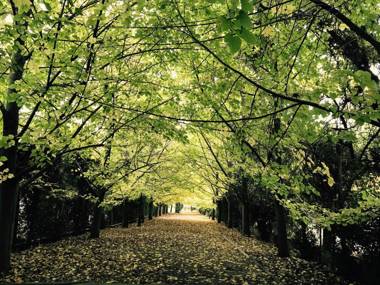 Susana Balbo Winemaker´s House