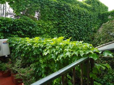 Rugantino Hotel Boutique