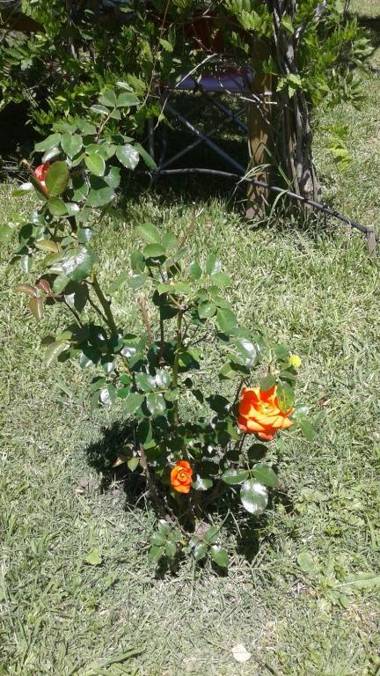 Mena House en Recoleta 3 Bed 2 Bath - Piso Alto