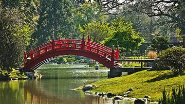 Cozy studio - Palermo Chico