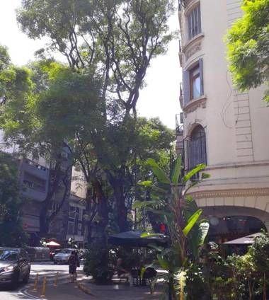 Carcova Studio - Style & relax en RECOLETA