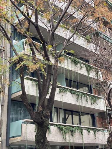 Ara Homes Buenos Aires