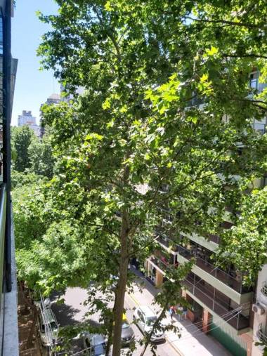 Oro y Av Santa Fe Palermo Soho a 200m de La Rural 300m Sanatorio Arcos