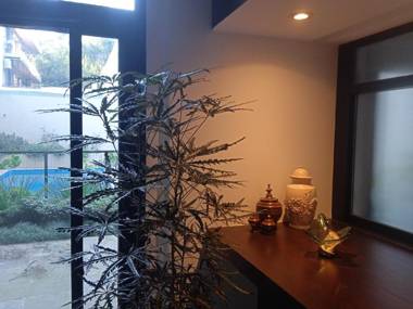 Rawson 3840 Alquiler Suite La Lucila Vicente Lopez