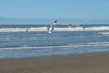 Gaviotas Beach Home