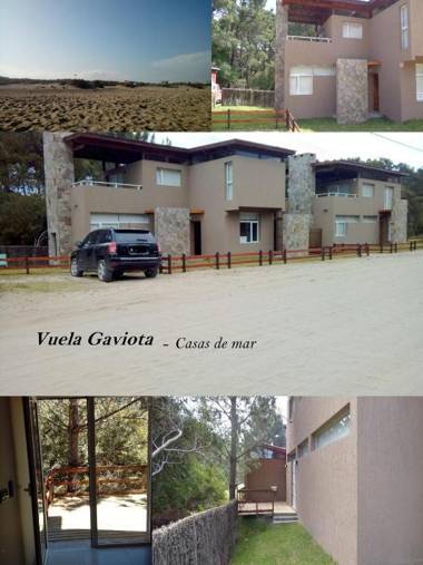 Vuela Gaviota