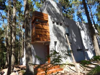 ILUSIONES Bosque y Mar