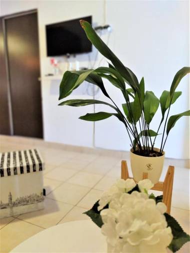 Rent for Days III - Mono Plaza