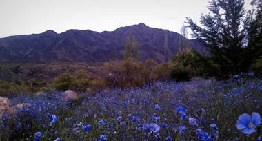 Casa Tai - La Crucecita