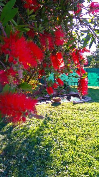 Petit Hotel El Alcanfor
