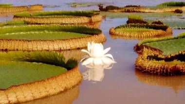 La Vilma Hospedaje Familiar