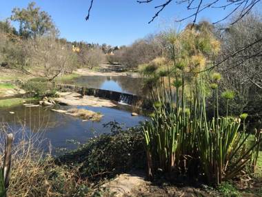 Cielo de Piedra. Cabañas y Petit Hotel