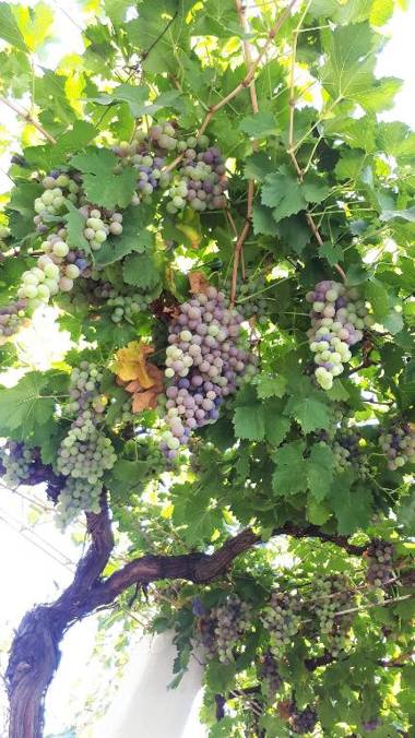 Departamento monoambiente Domaine Laborde I