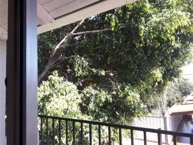 Monoambiente con Balcón