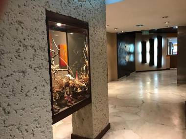 Luz y Fuerza - All Inclusive