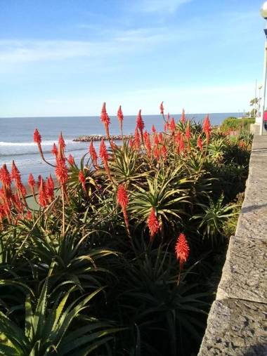 DESCANSO IDEAL II CABO CORRIENTES