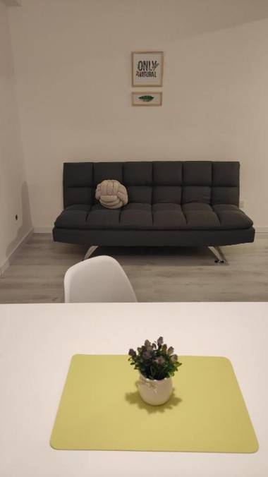 Departamento centro mdp calle belgrano