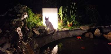 Angelina's House by L&L