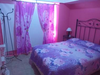 Pleno centro 2 amb II