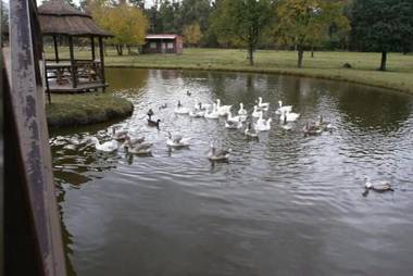 La Justina club de campo