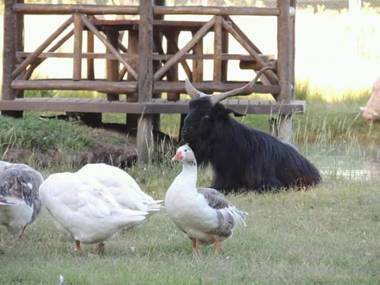 La Justina club de campo