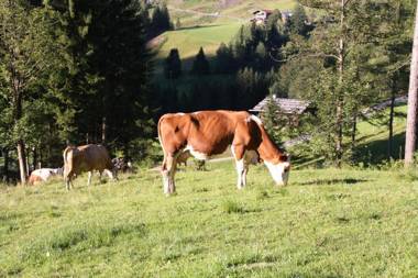 Apartements Richlegghof