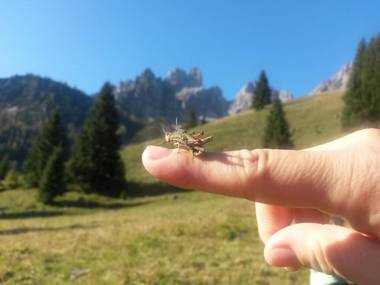 Ferienwohnung Mützengruß
