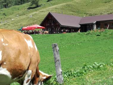 Appartment Rettenwender