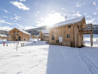 Modern Wooden Chalet in Sankt Georgen ob Murau with Sauna