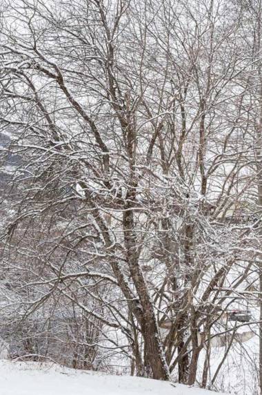 IRIS TOP 3 DESIGN APARTMENT