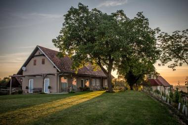 Winzarei Weingut Tement