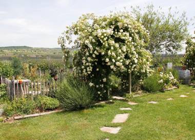 Kraut & Ruabn - Stadl